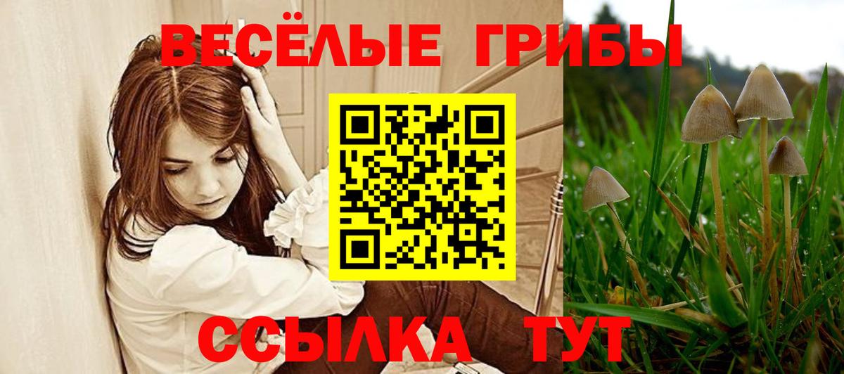 Галлюциногенные грибы прущие грибы Ессентуки